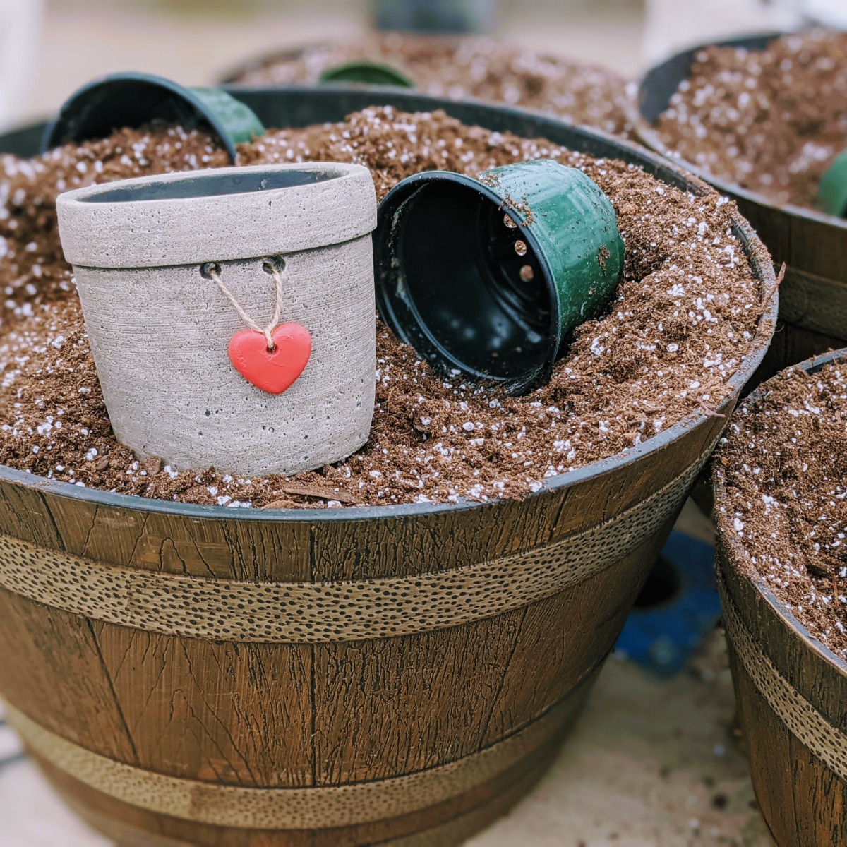 Valentine's Heart Planters at Glick's Greenhouse