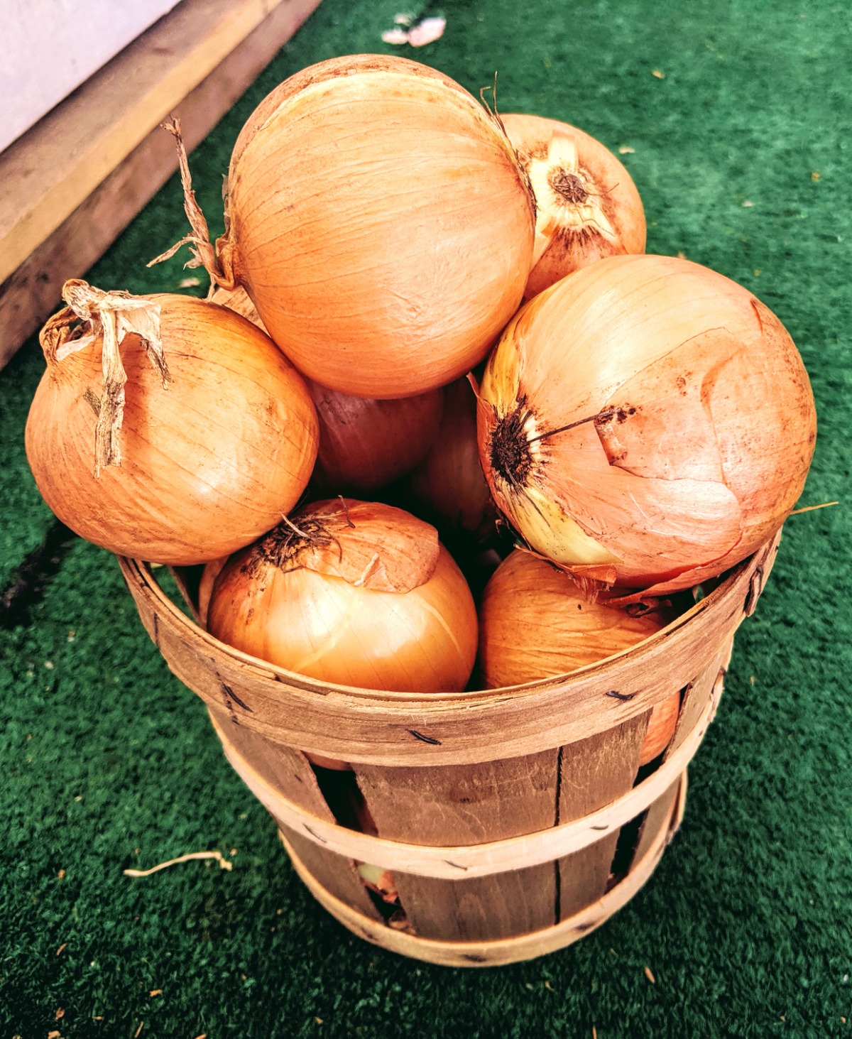 Basket of onions