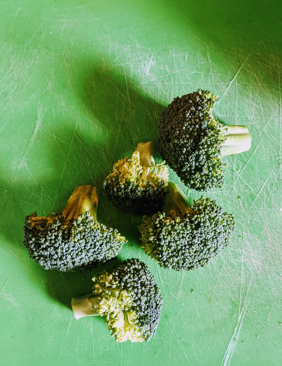 Broccoli florets