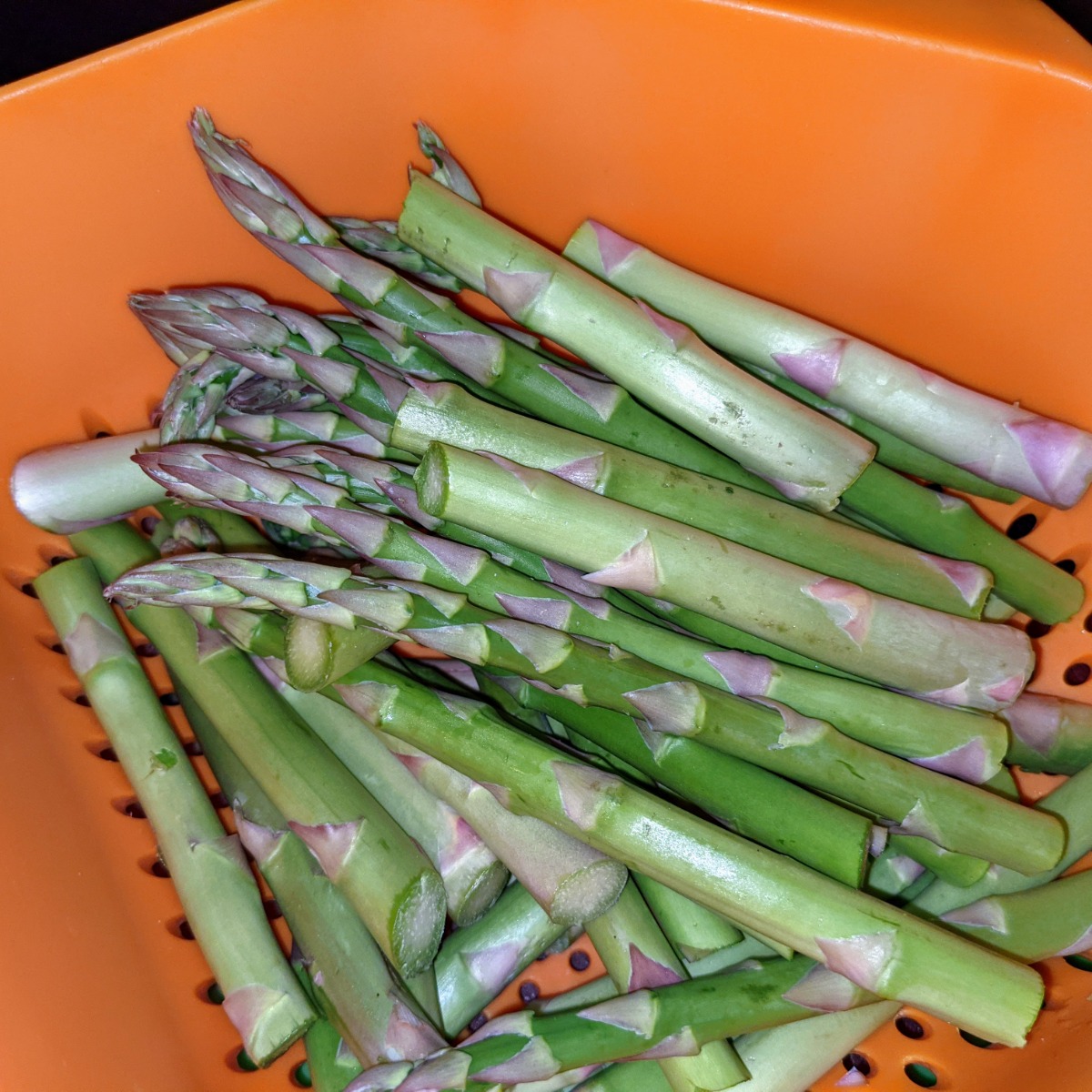 Find companion plants for asparagus to improve your harvest!