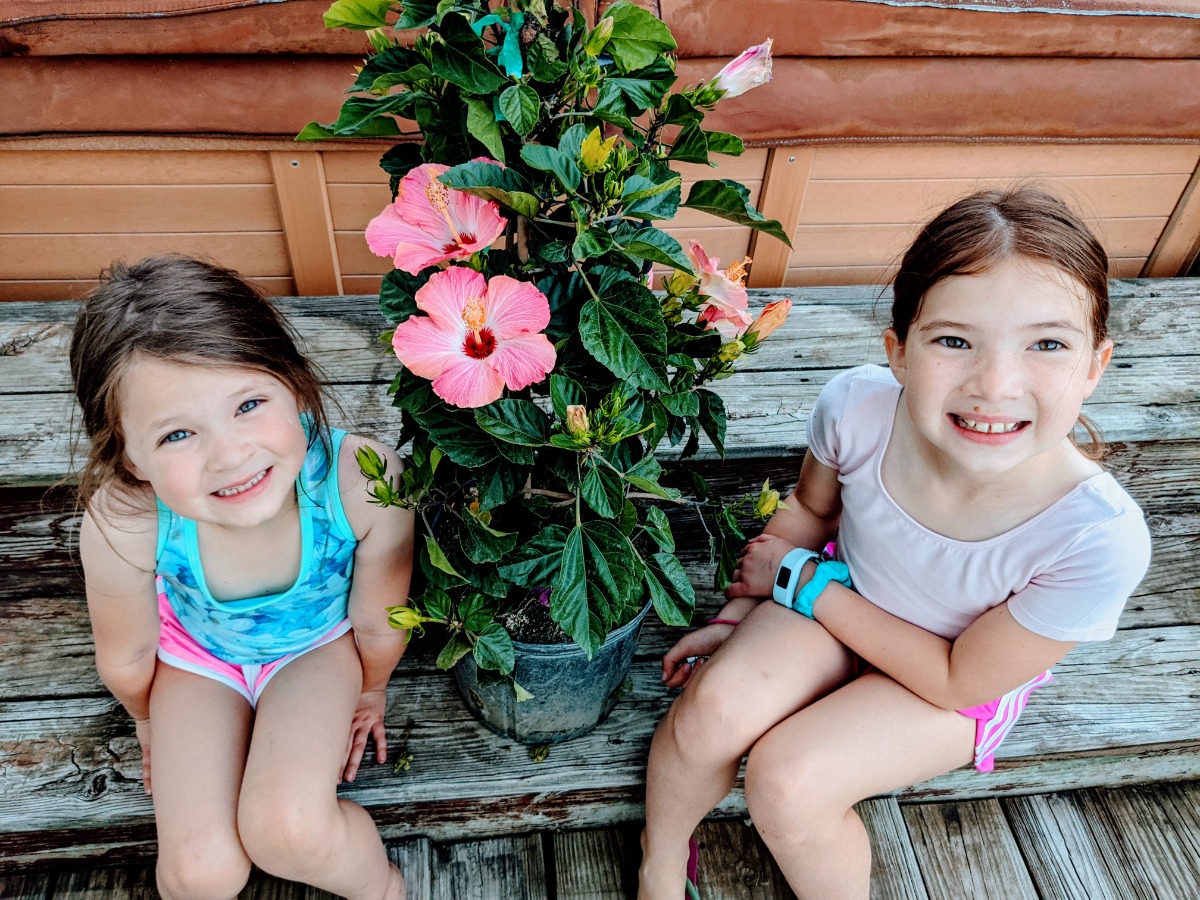 Tropical vibes with two sisters sitting with a pretty pink hibiscus