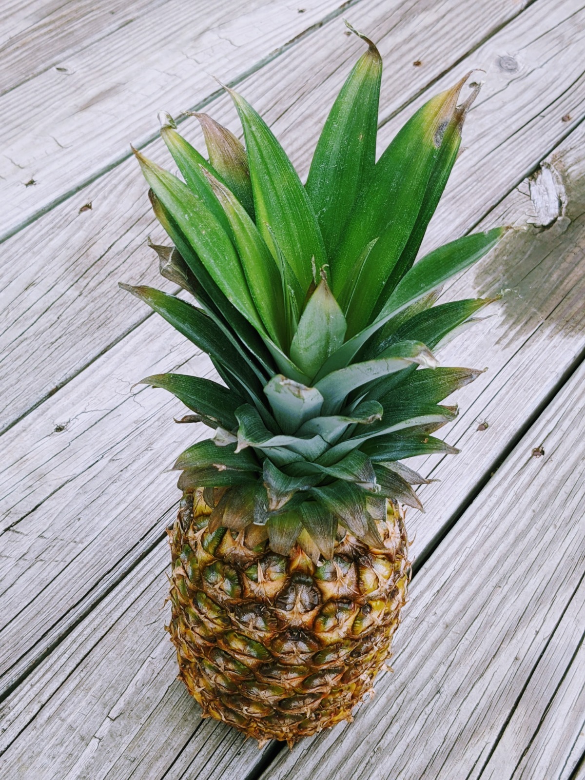 Beautiful, fresh pineapple on the deck