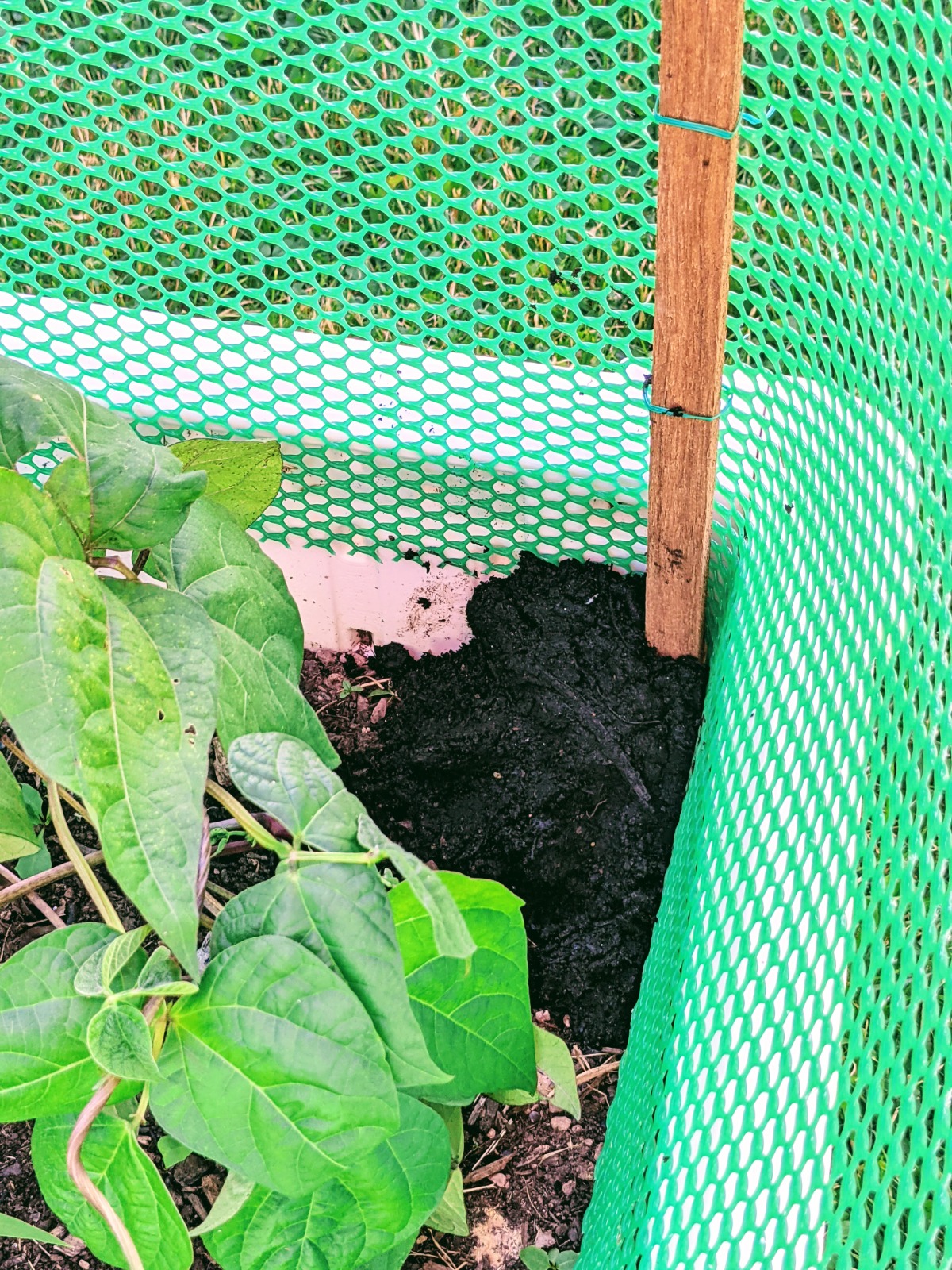 DIY Gardening Fence using green ABS plastic (food-safe)