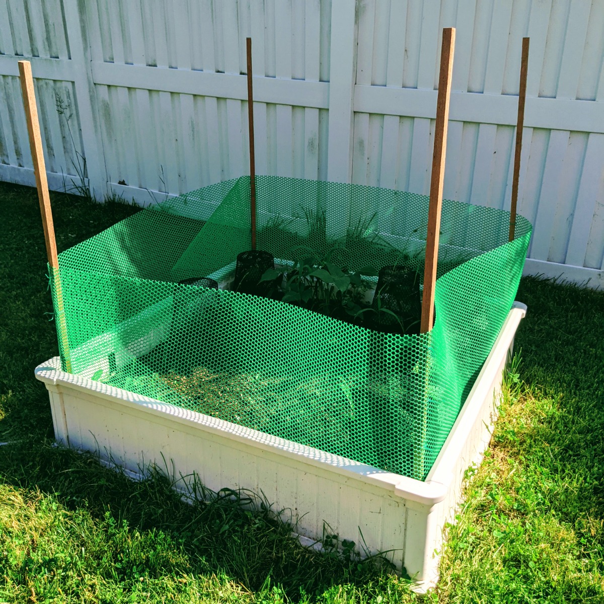 Image of Raised bed made of plastic with a green mesh fence