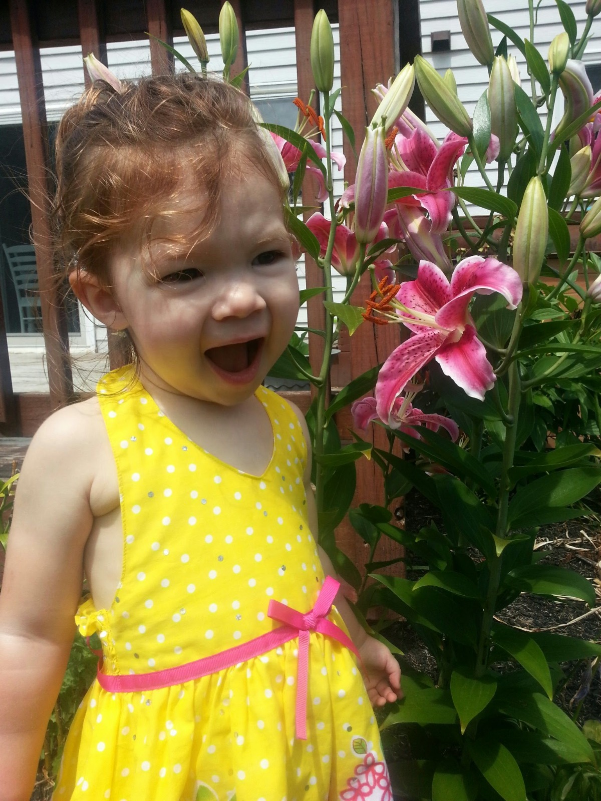 Oldest daughter when she was 2 with my prized Stargazer Lilies