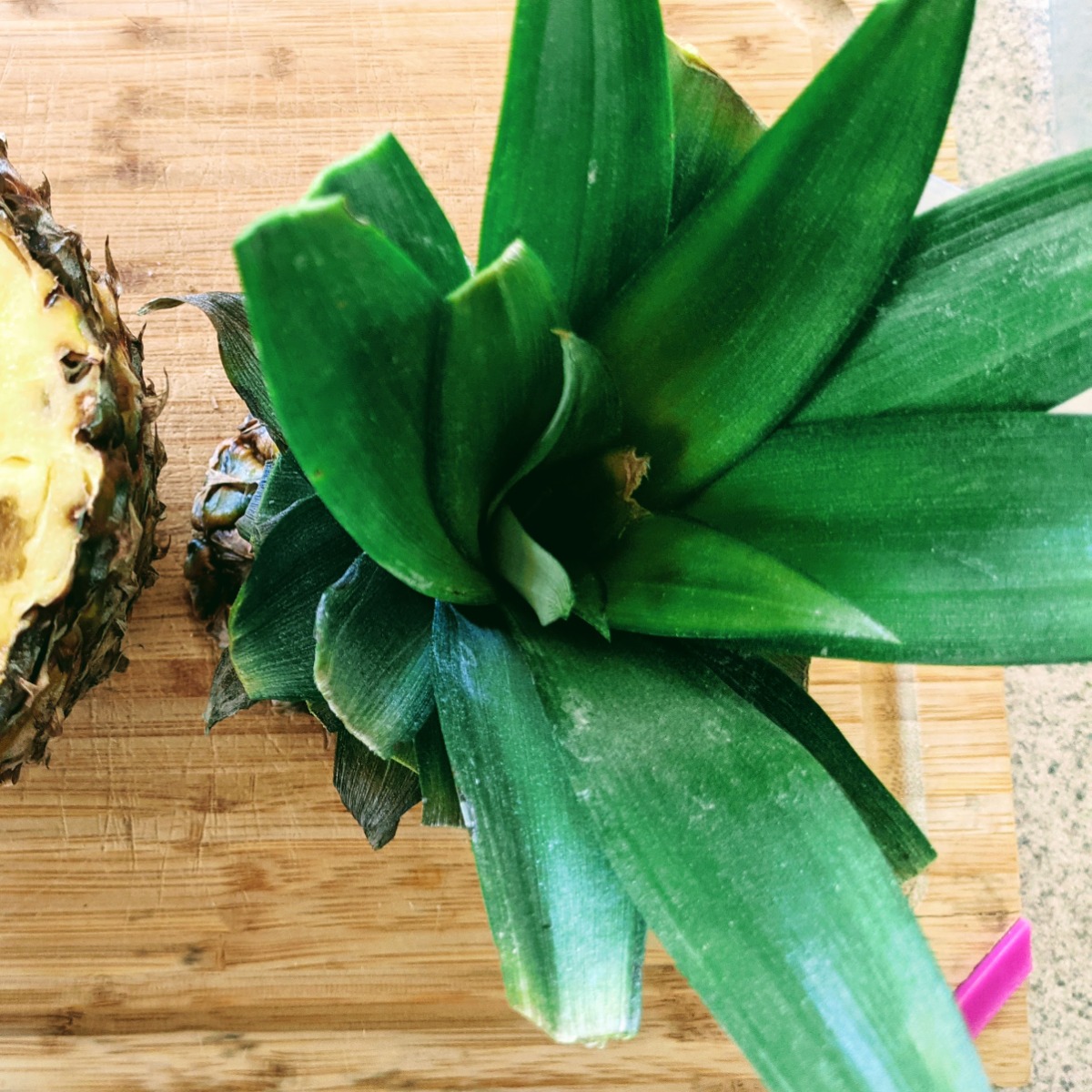 Cut pineapple top on a cutting board