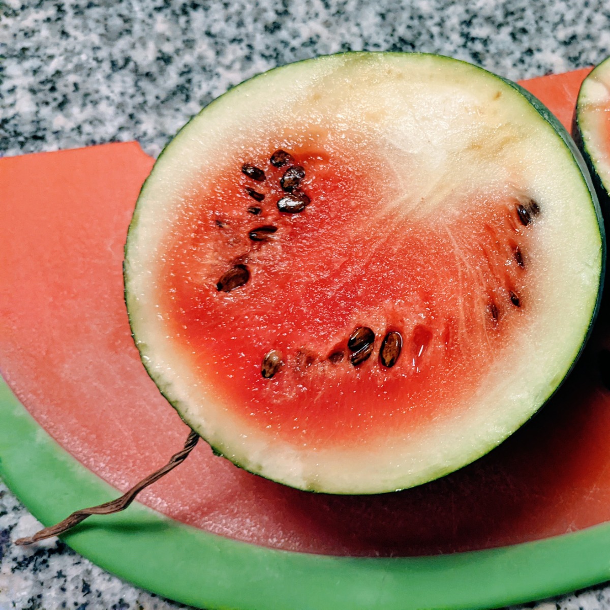 Ripe Black Diamond Watermelon from our 2021 Garden with a Dry Stem attachment point