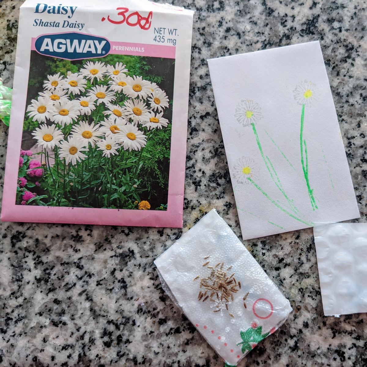 Shasta Daisy Seeds and Handmade Daisy Seed Envelope