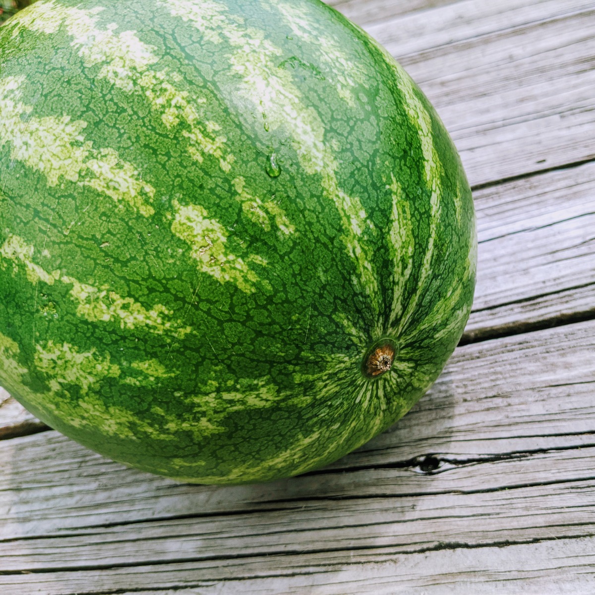 Watermelon on wooden deck - Find out when to harvest watermelon with these tricks