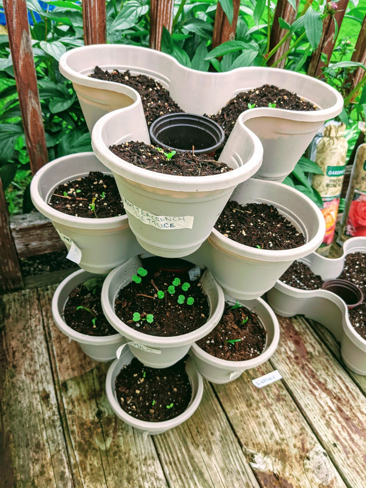 Soil saving hack for Dollar Tree Stacking Pots