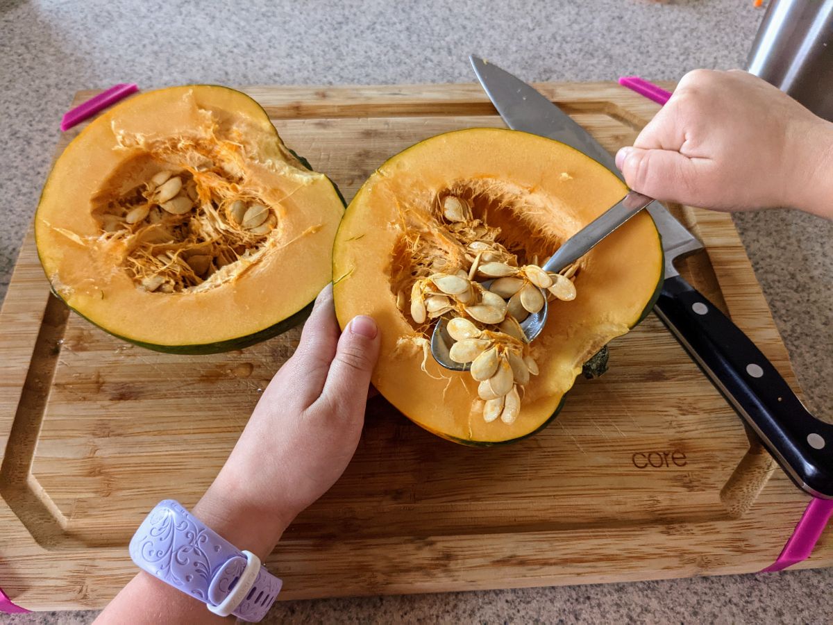 Daughter collecting and saving acorn squash seeds