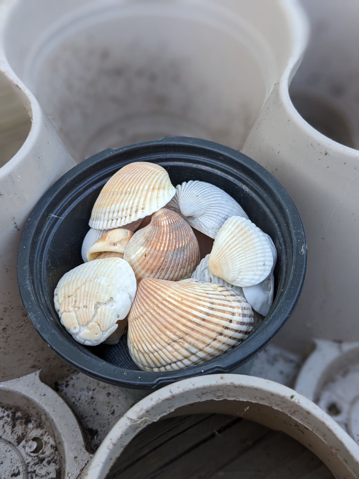 Seashell filler in the center of stacking planters helps to save on soil use