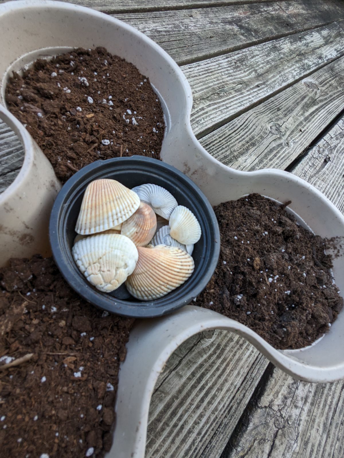 Soil Saving Hack for Dollar Tree Tier Planters - center pot full of seashells