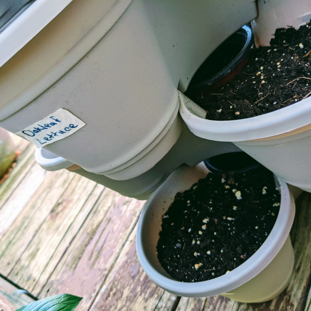 Soil in tier pots