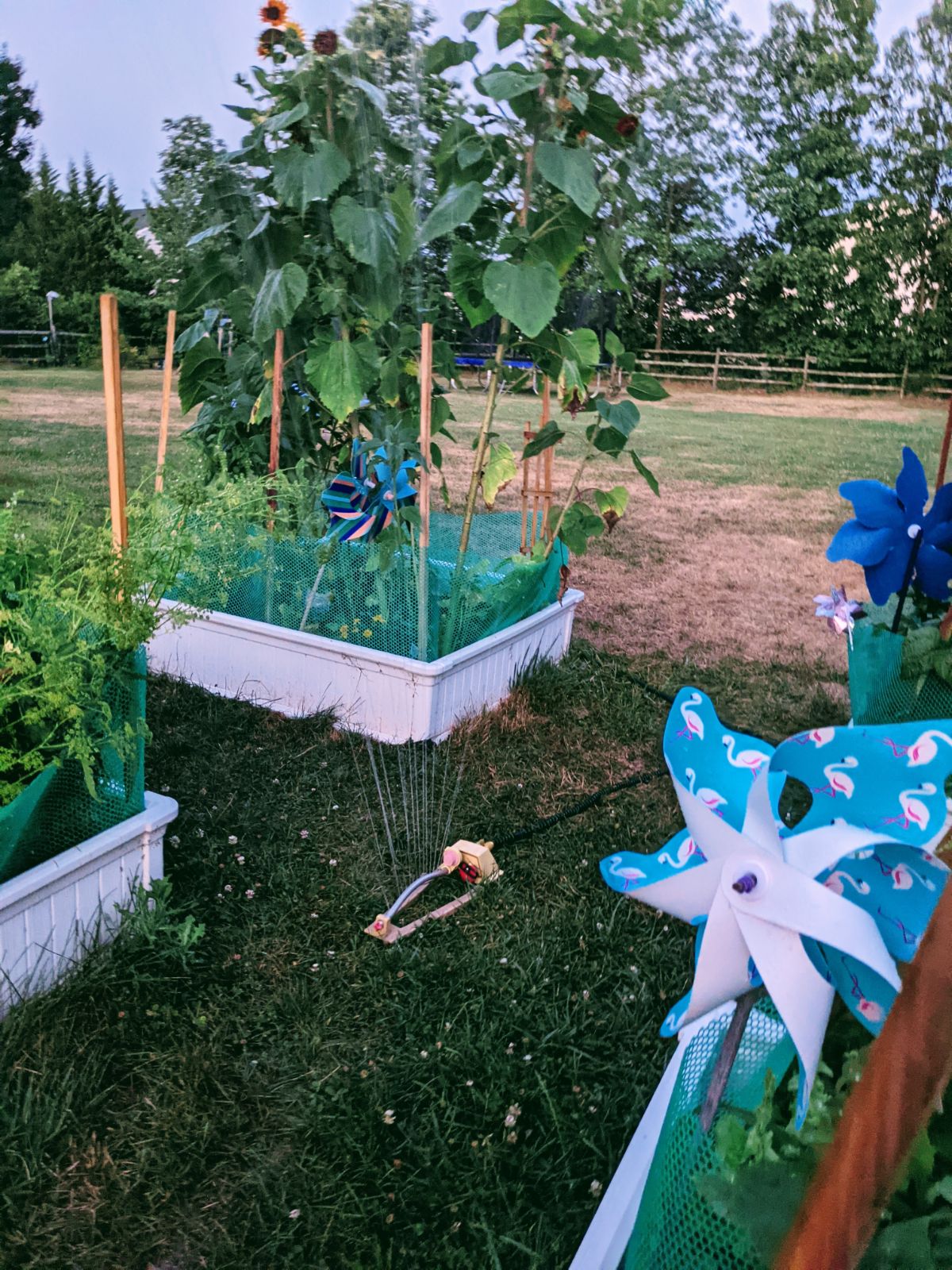 Vacation mode watering gardens with an old school yellow sprinkler