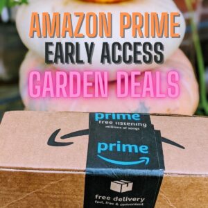 Amazon Prime Early Access Garden Deals 2022