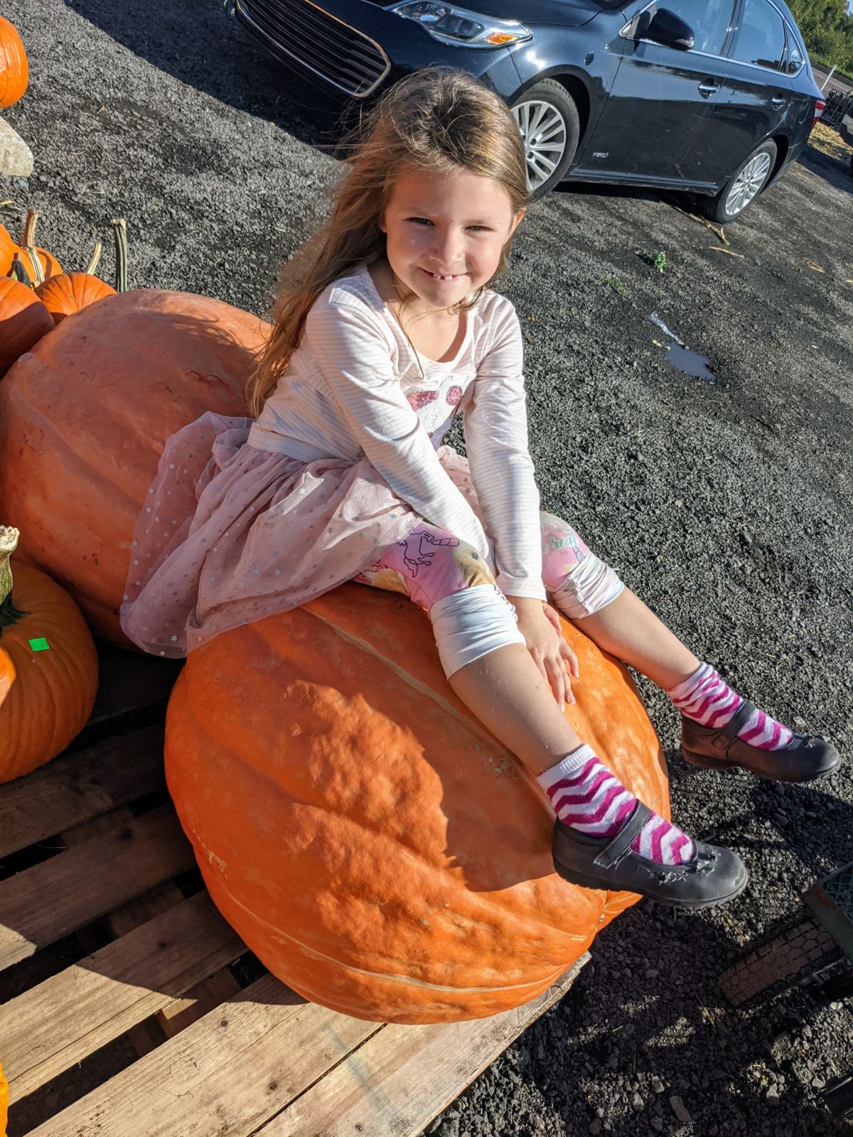 Daughter sitting on a big pumpkin at a roadside stand