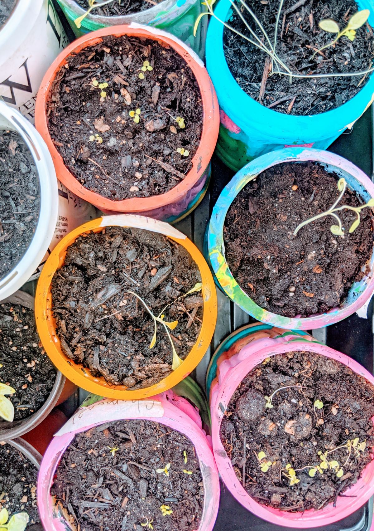 Kids Fun Crafts - DIY Recycled Planter Containers, Made from Gatorade Bottles and Painted