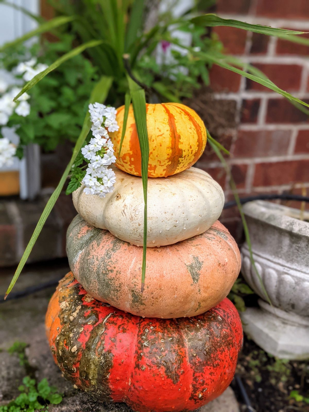 Four stacked pumpkins in red orange pink green white and yellow orange stripes