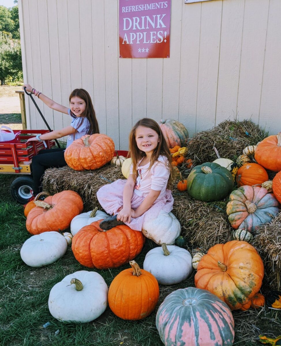 Lovely pumpkin setting at Frecon Farms in Boyertown with my two daughters happy to snap a pic