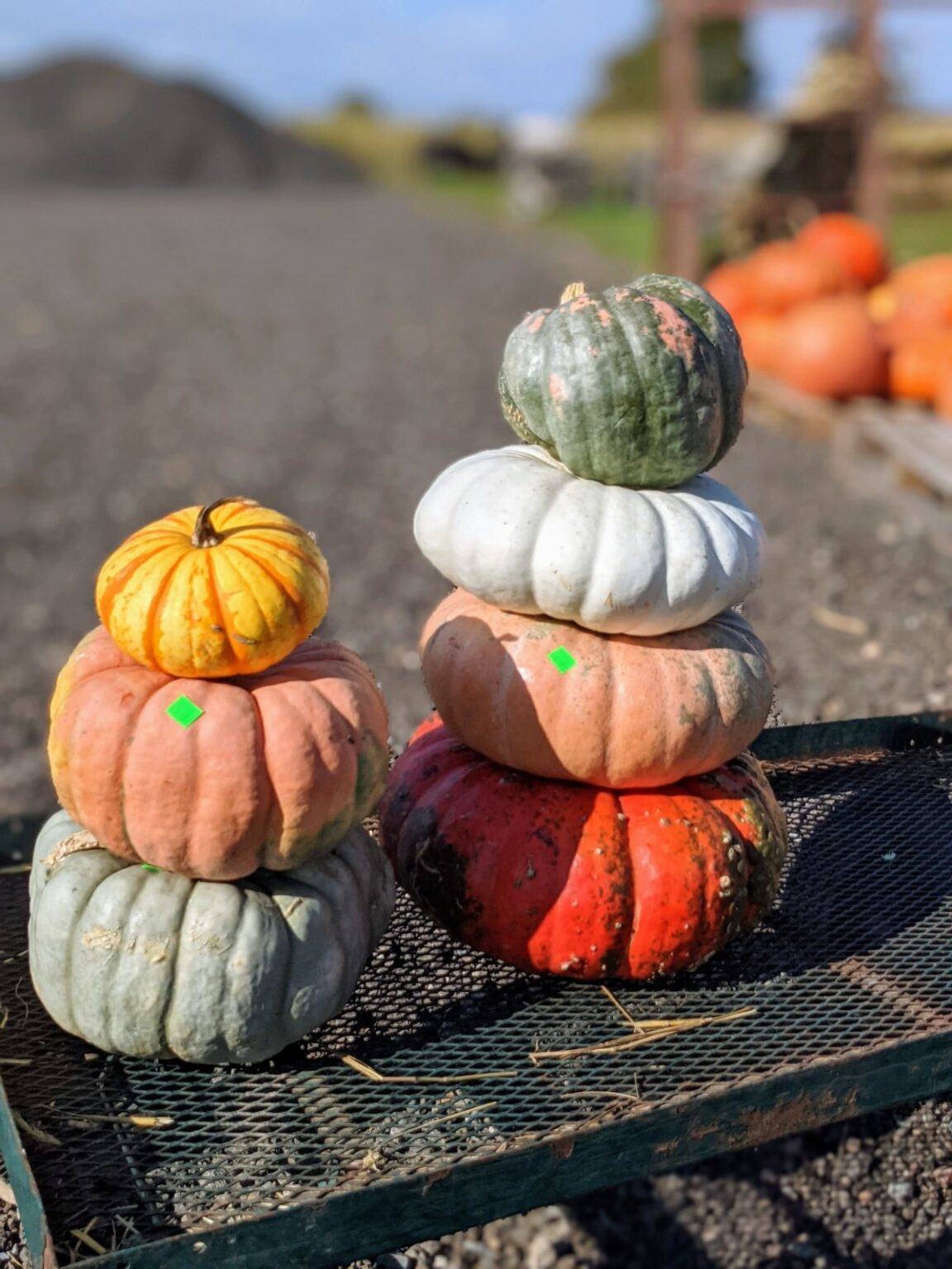 Stacked Pumpkins & Other Gorgeous Fall Porch Décor - Bunny's Garden