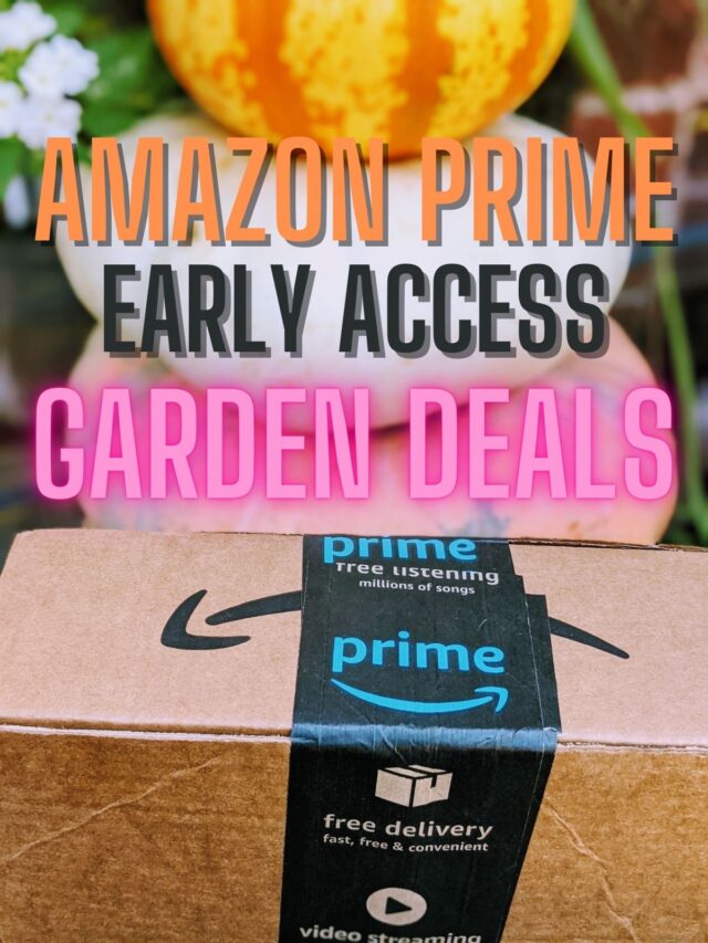 Amazon Prime Early Access Gardening Deals