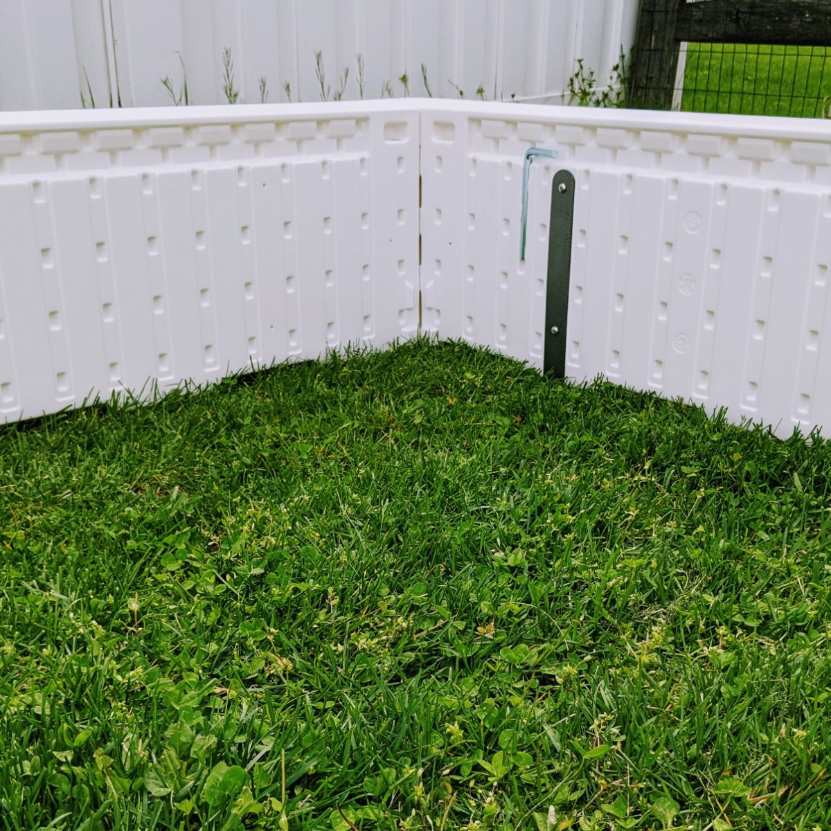 4x4 white raised garden box in the grass