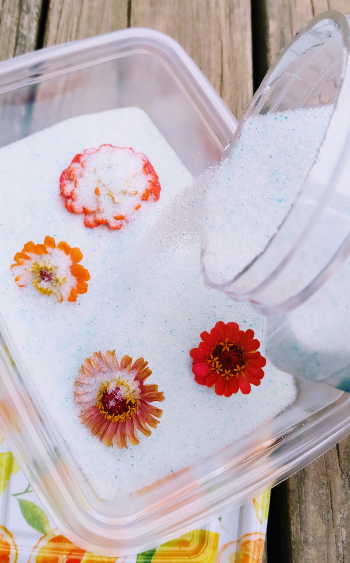 Learning how to dry flowers with silica crystals and a container