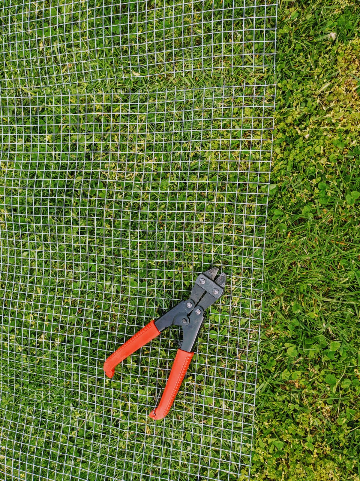 Hardware cloth and wire cutters in the grass