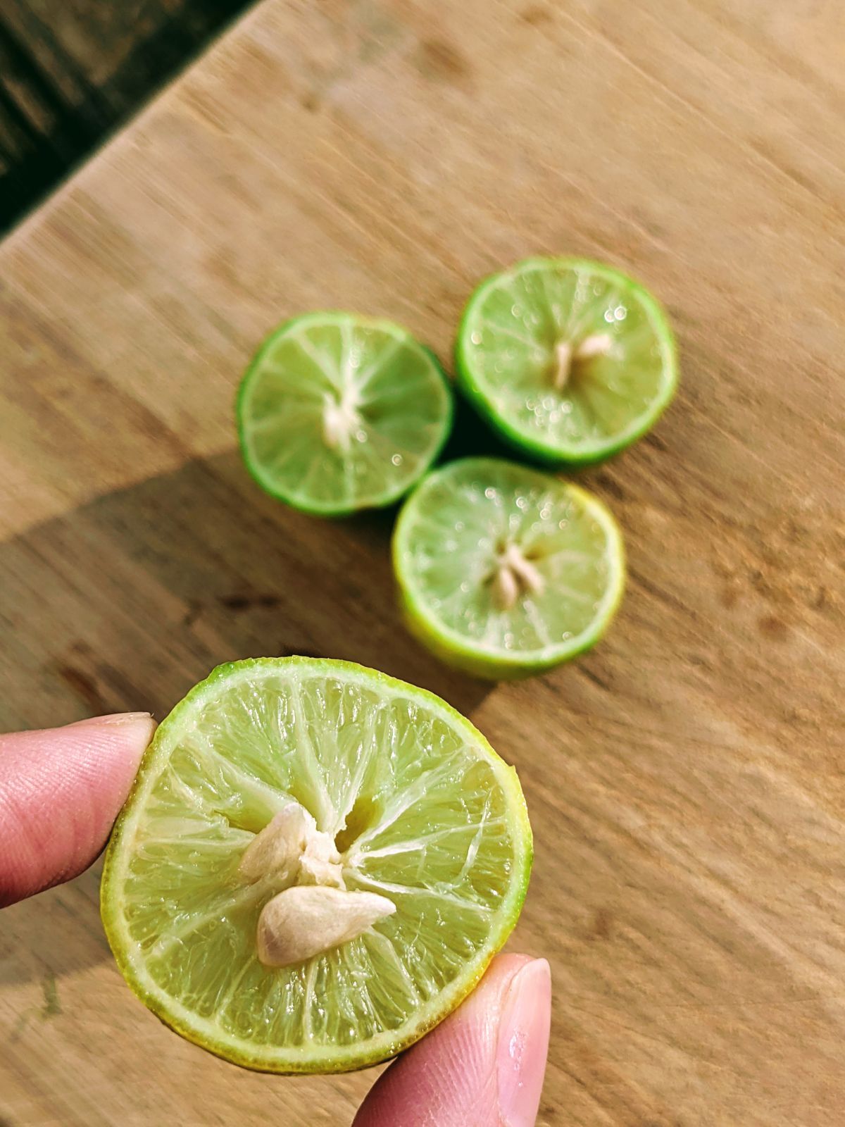 Hand holding key lime half with seeds