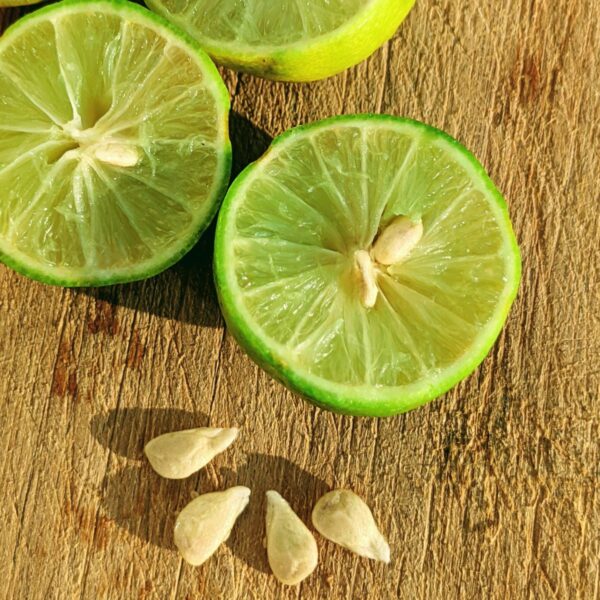 Key limes with seeds for planting on a bamboo cutting board