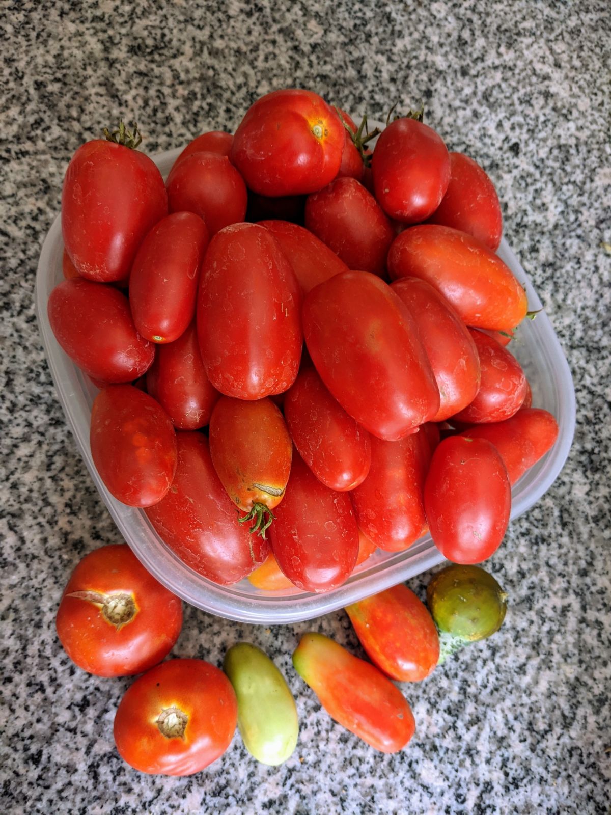 Bowl of Roma tomatoes on the counter