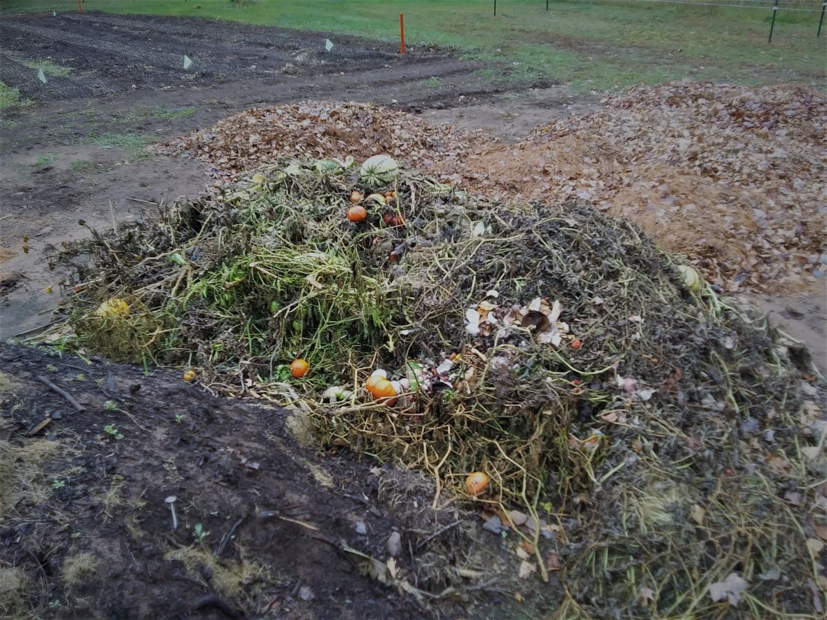 Compost Heap with food refuse; photo courtesy of Paul Lueders