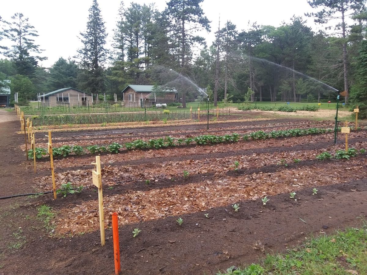 Garden full of compost; Photo courtesy of Paul Lueders