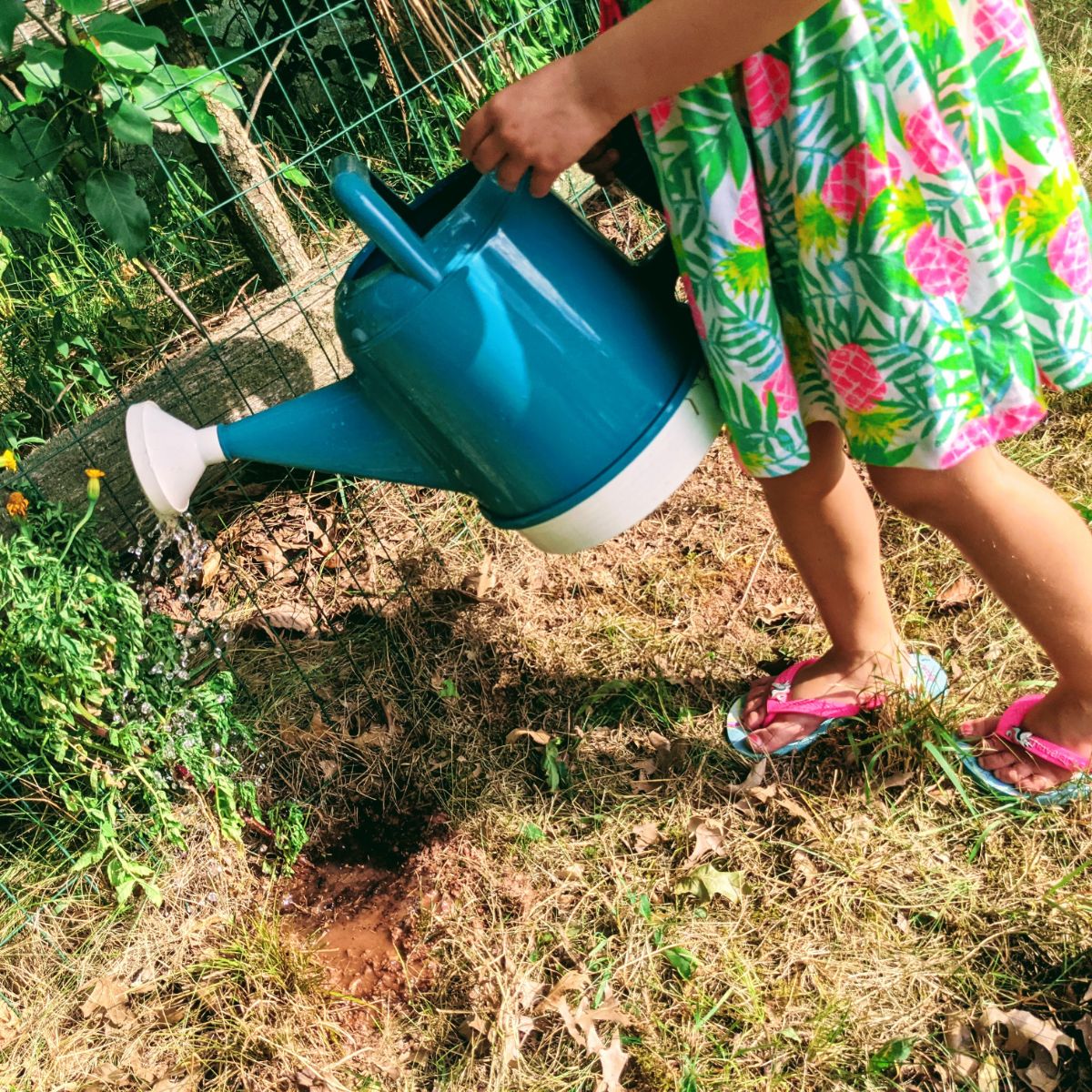 Little girl in a tropical dress watering a plant with a big watering can