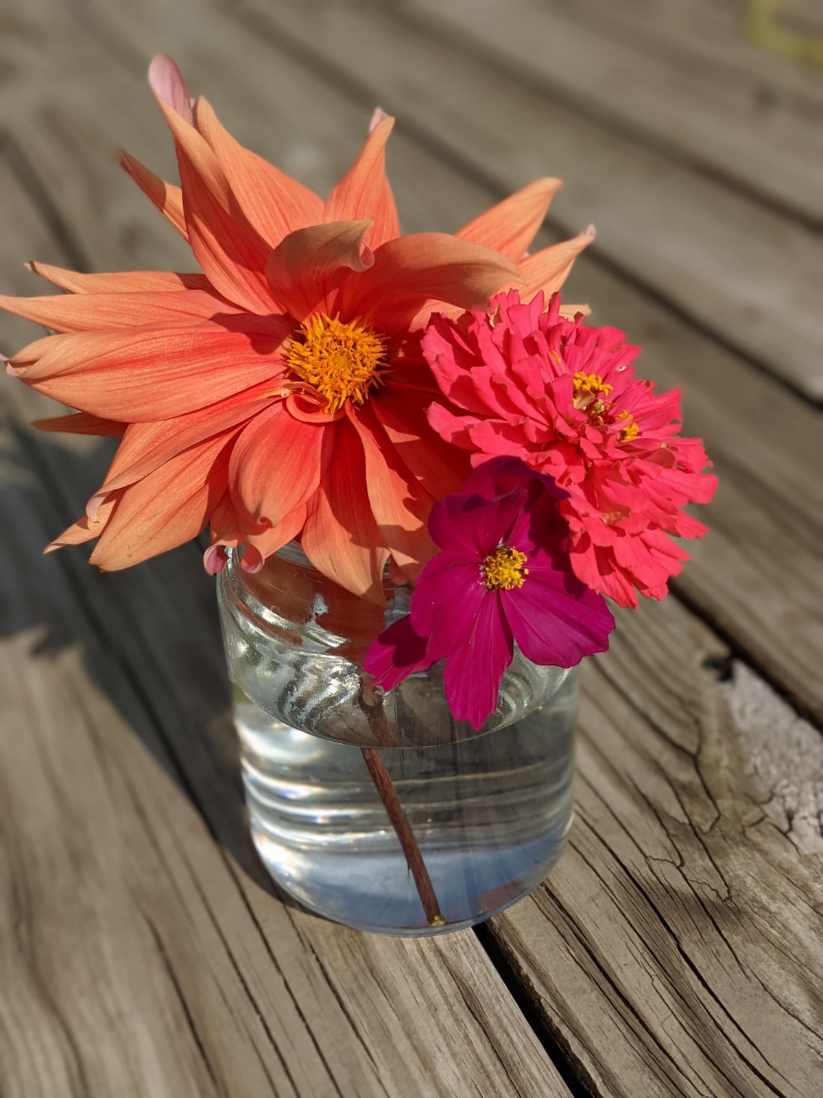 Homegrown bouquet with peach dahlia, pink zinnia and purple cosmo