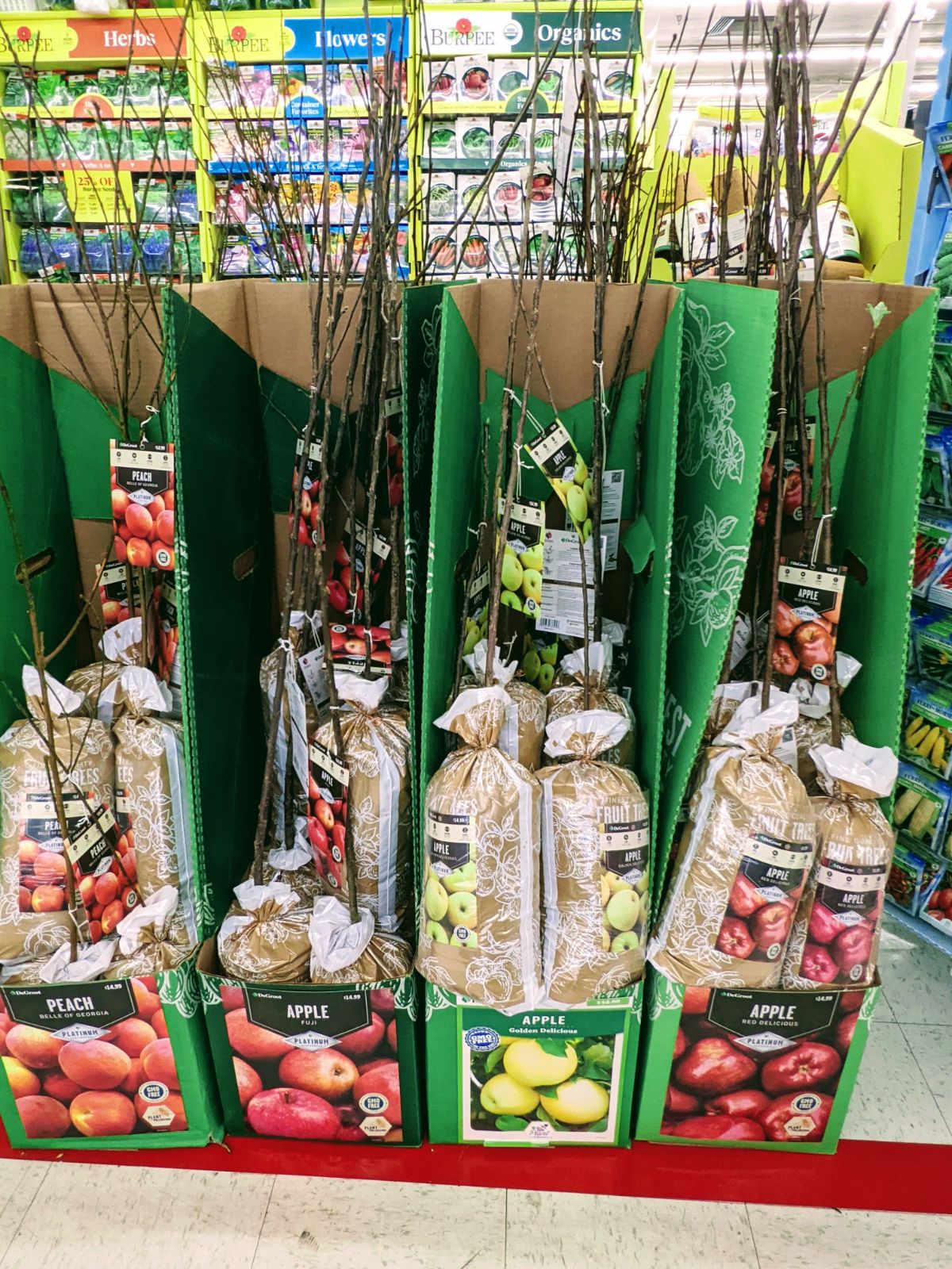 Tractor Supply apple and peach trees for sale indoors