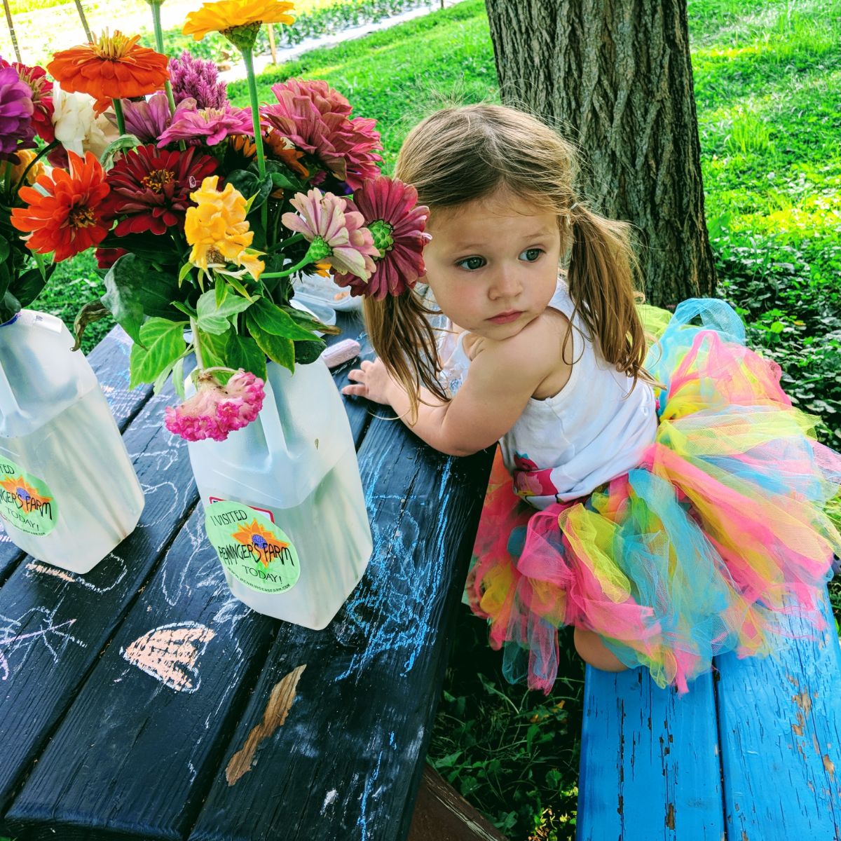 Young daughter with a pick-your-own bucket of zinnias