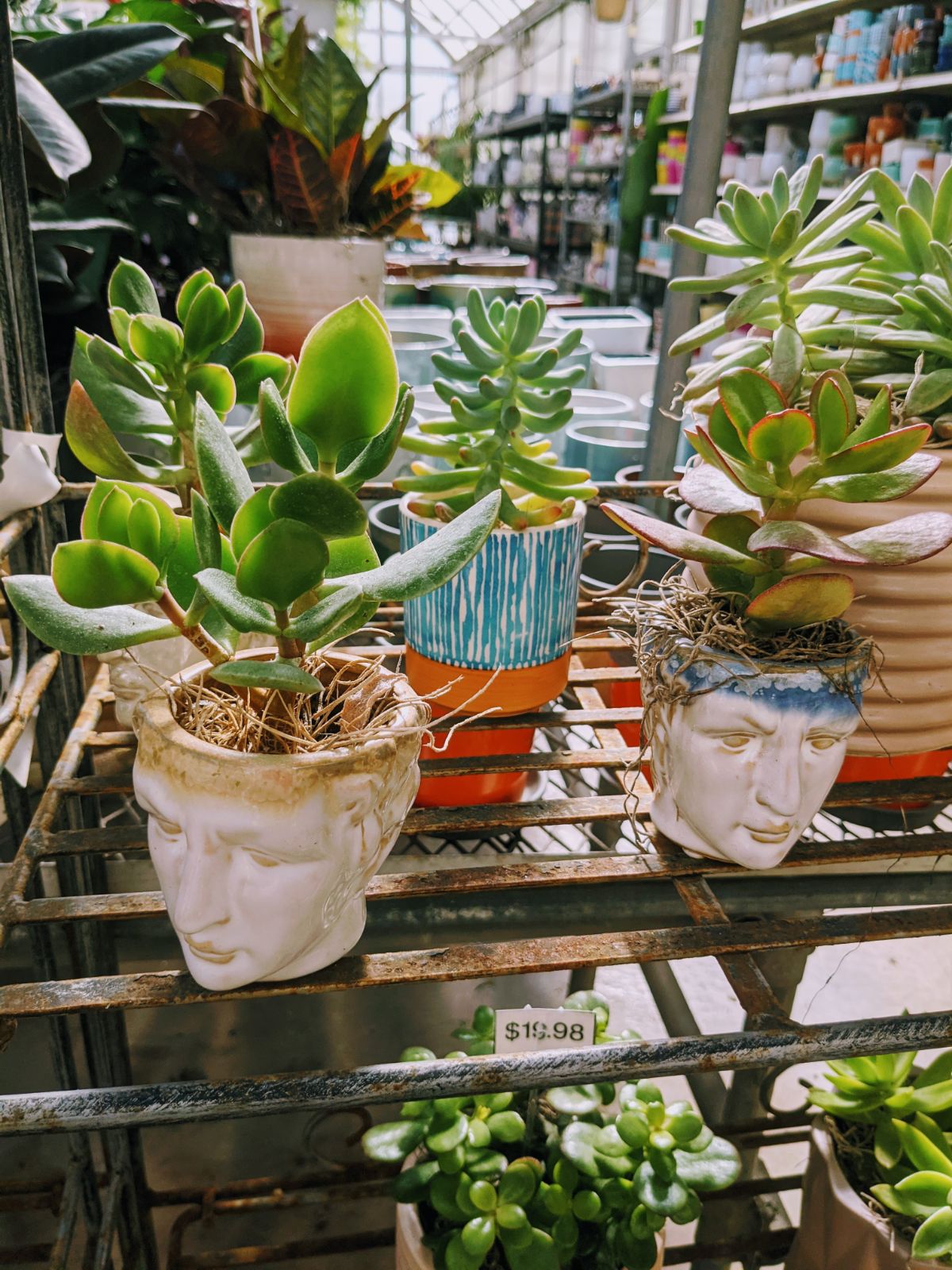 Ceramic head planters with succulents inside