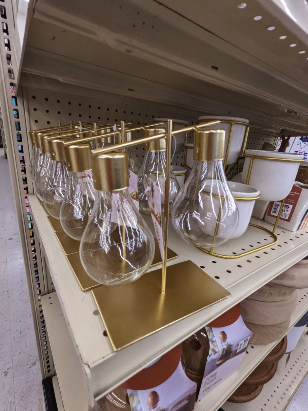 Lightbulb plant propagation jars for sale at Big Lots