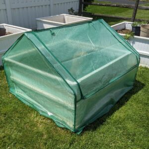Aldi Drop Over Greenhouse (Raised Bed Covers) Review