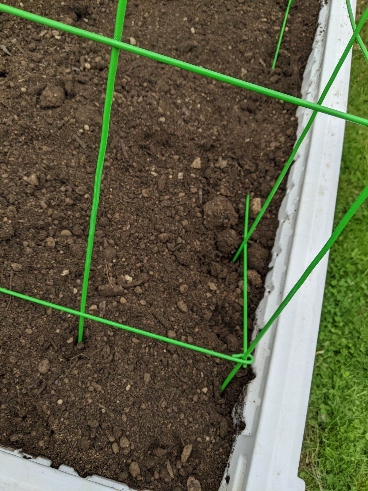 Anchoring trellis into the soil