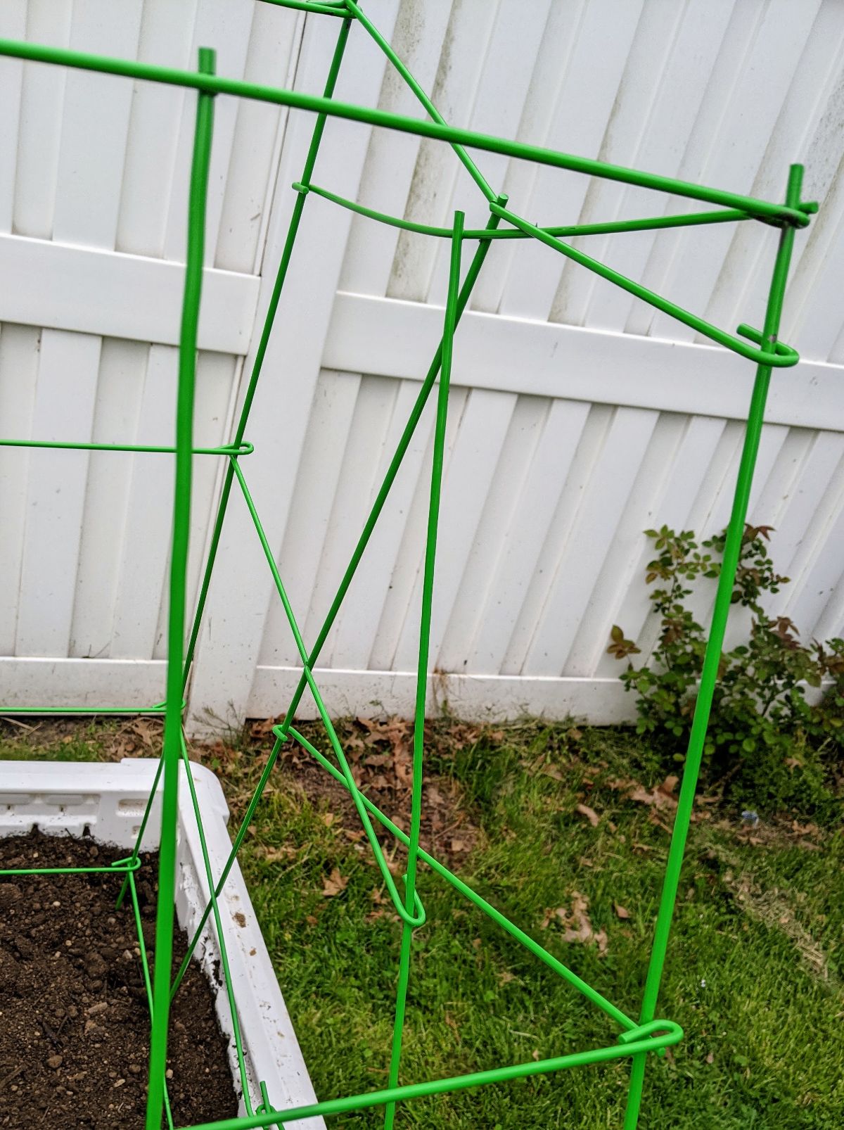 Connecting two Panacea Tomato Towers in the garden