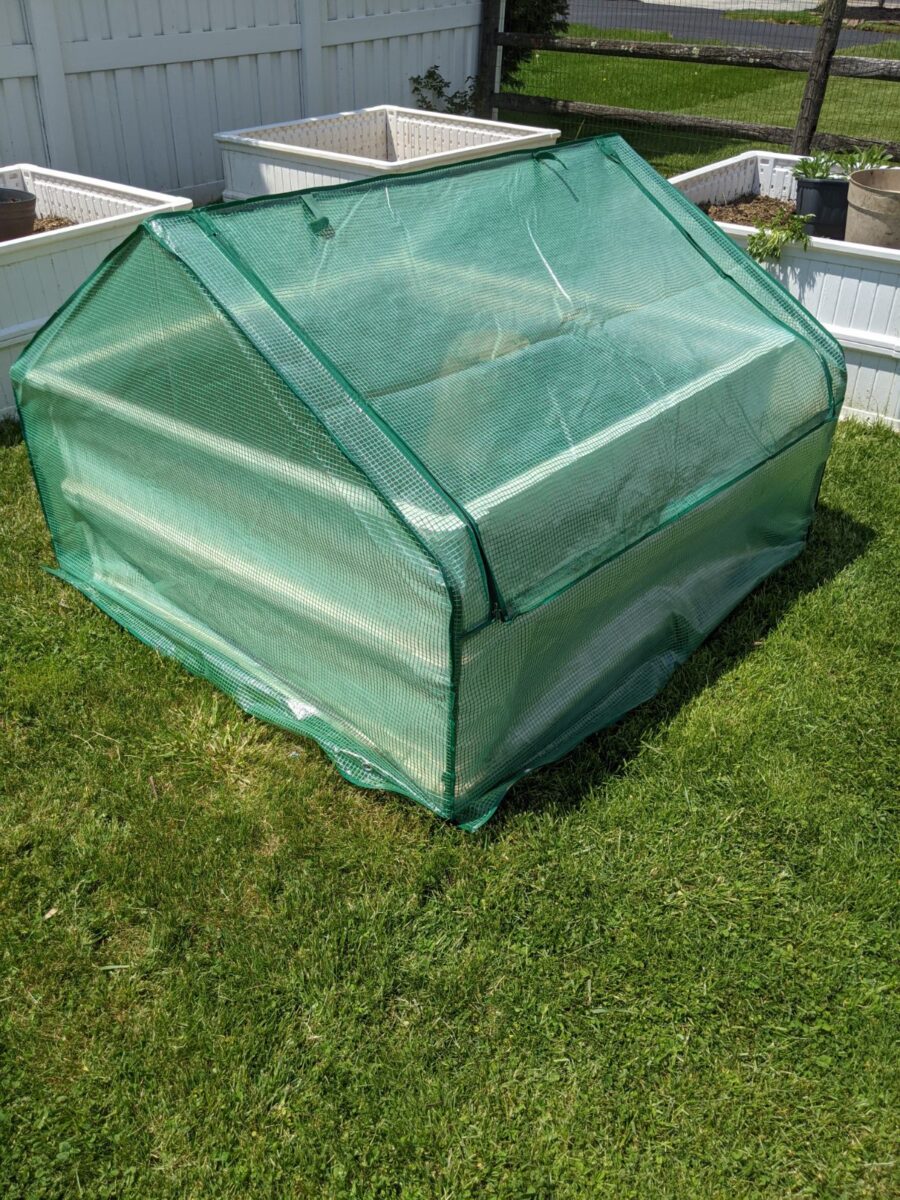 Aldi Drop Over Greenhouse (Raised Bed Covers) Review Bunny