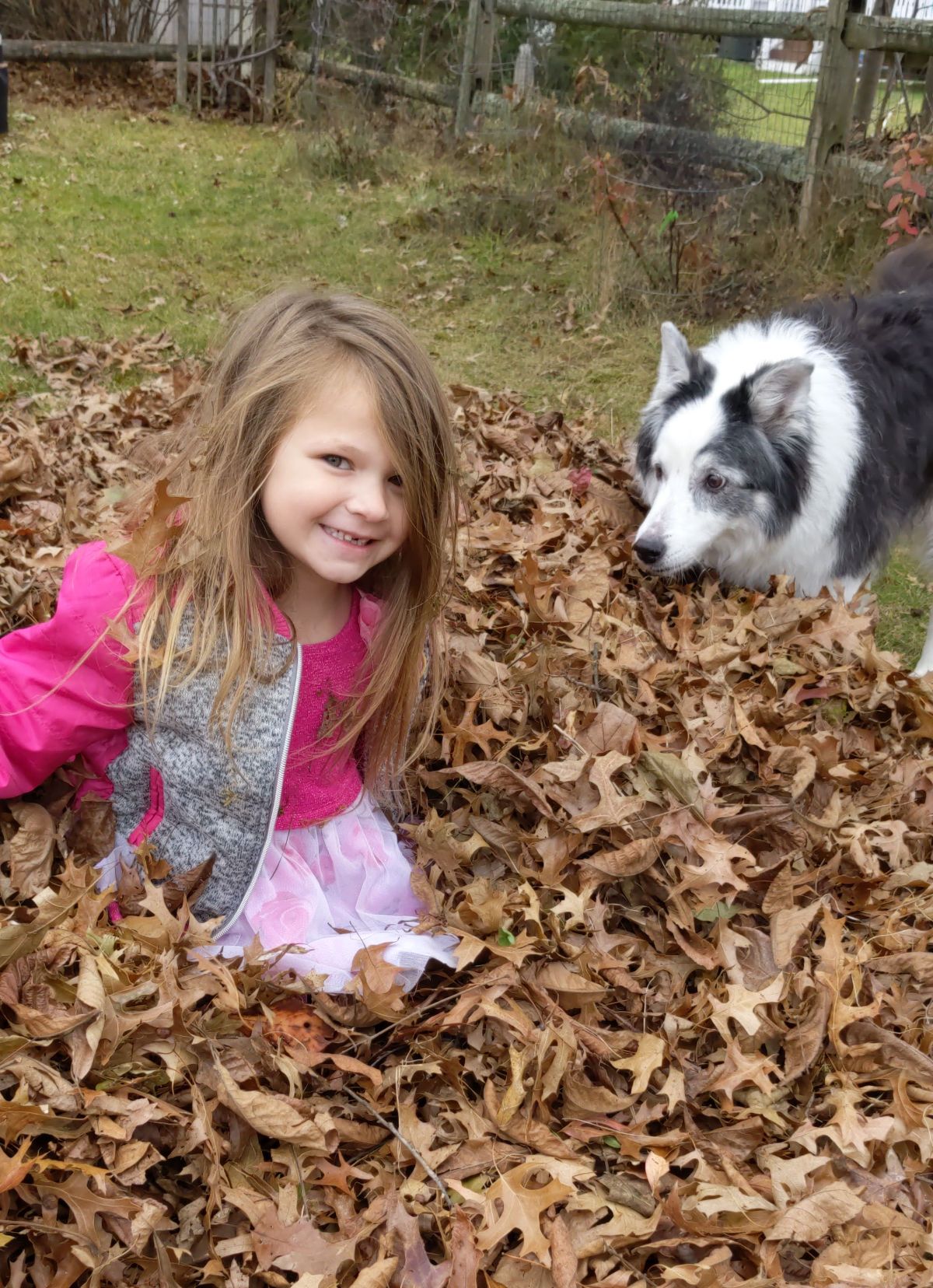 Daughter and dog playing in the leaves in the fall