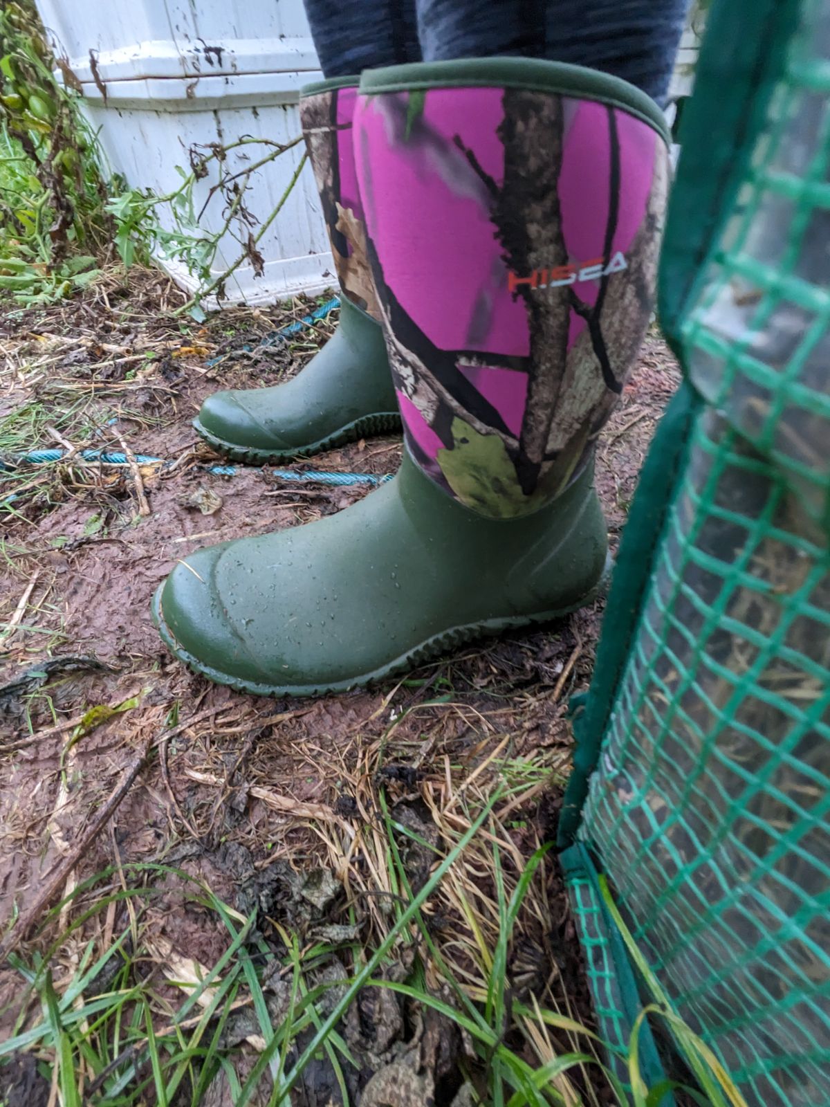 Garden boots in a mud mess with tomato vines in raised beds