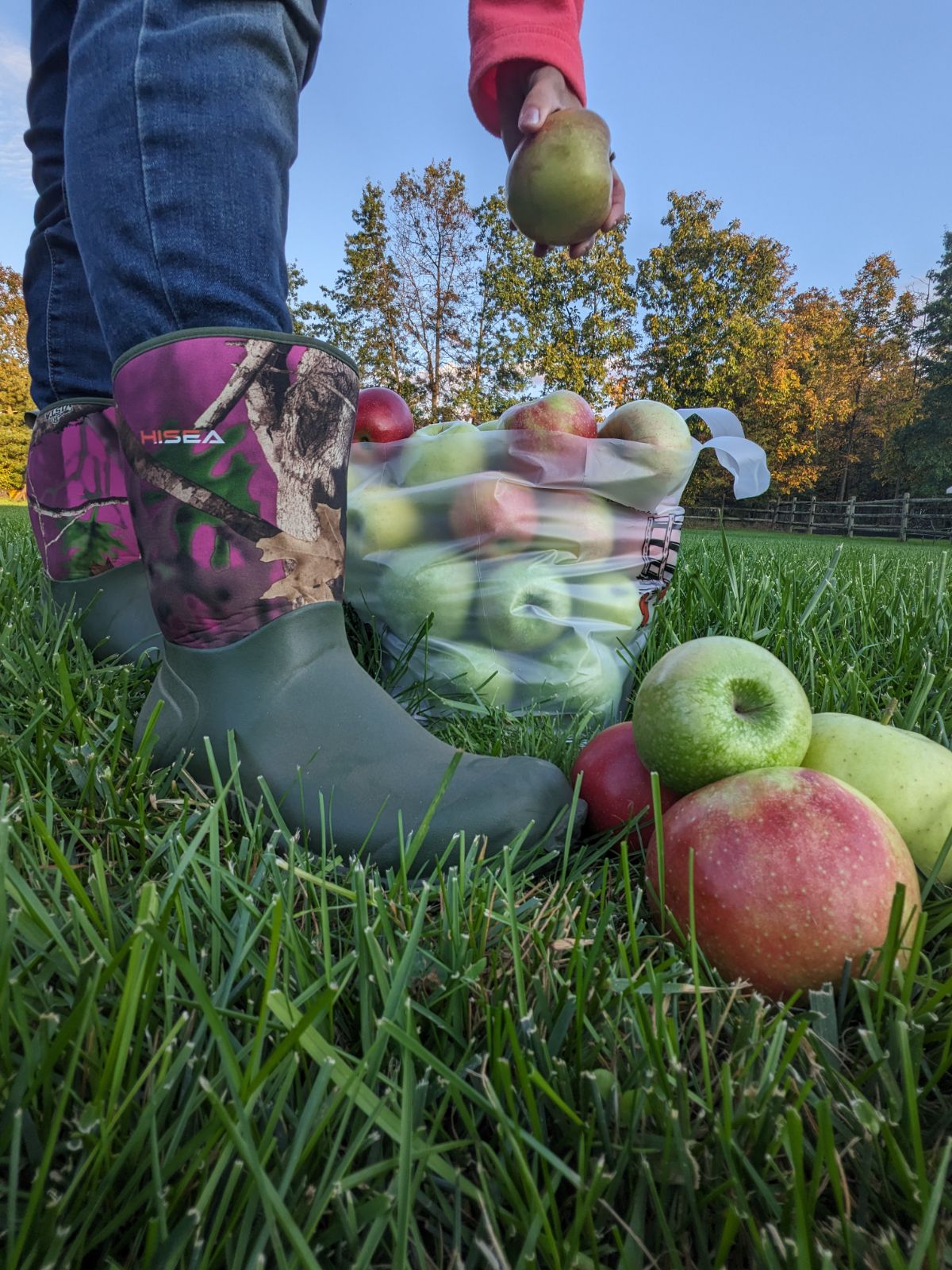 Picking apples wearing jeans and boots