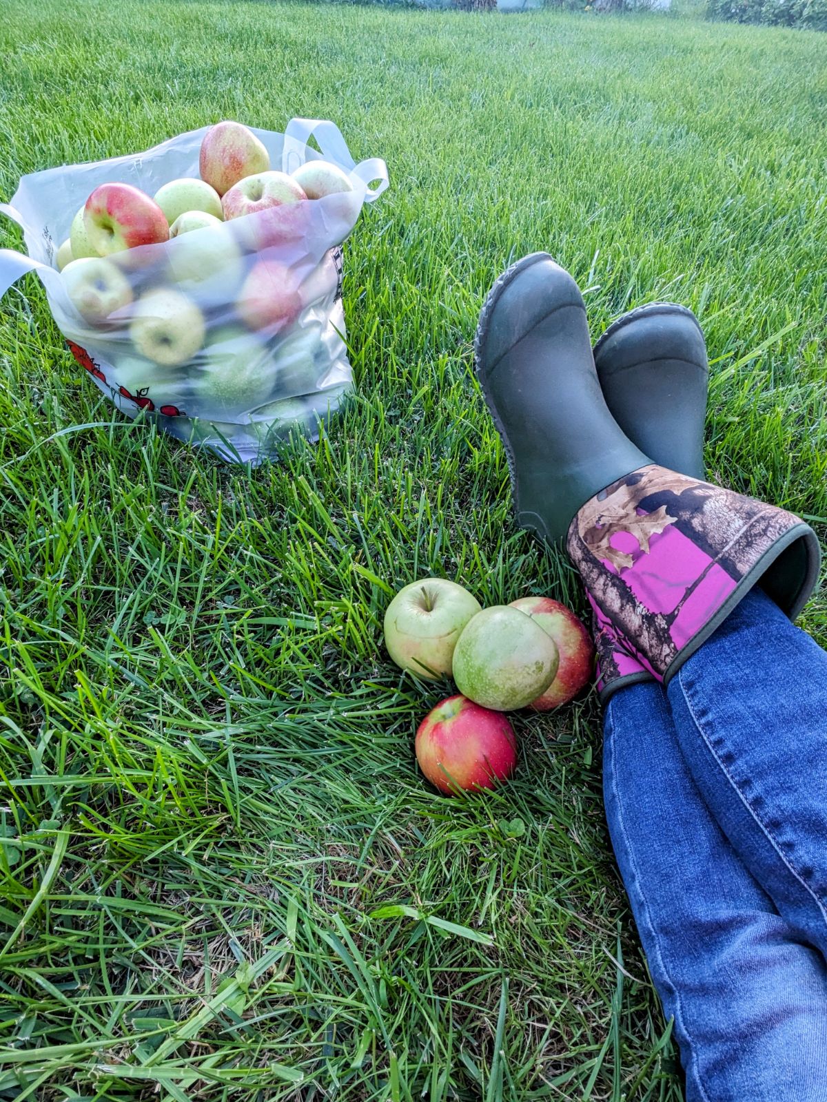Wearing HISEA women's garden boots for apple picking